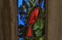 ND Raincy - Détail vitrail Perroquet de Marguerite Huré (donné pour sa signature) et Maurice Denis