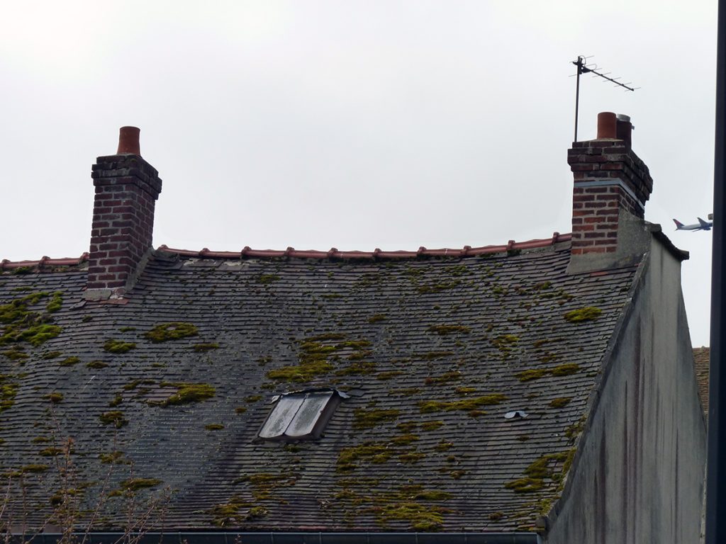 Mousse sur le toit du presbytère de Louvres